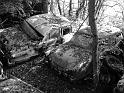 Autofriedhof - 134
